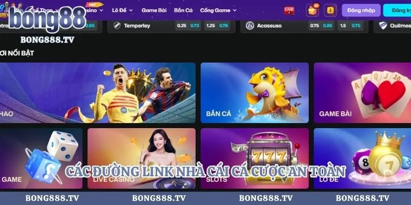 Rik88 - Đường Link Vào Nhà Cái Cá Cược Chuẩn Xác Nhất 2026 Hình số 2 tại bong888.tv Các đường link nhà cái cá cược an toàn hội viên nên sử dụng