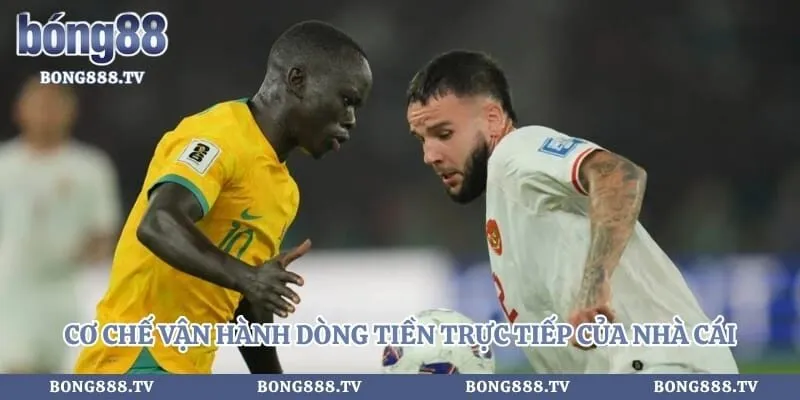 Kèo Rung - Chiến Thuật Đầu Tư An Toàn Từ Chuyên Gia Hình số 3 tại bong888.tv Cơ chế vận hành dòng tiền trực tiếp của nhà cái