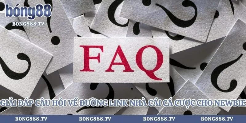 Fo88 - Giải Đáp Câu Hỏi Về Link Vào Nhà Cái Uy Tín 2026 Hình số 4 tại bong888.tv Giải đáp câu hỏi về đường link nhà cái cá cược cho newbie