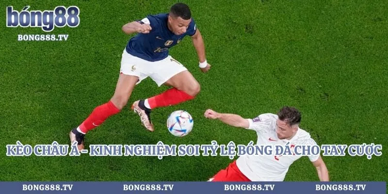 Kèo Châu Á - Kinh Nghiệm Soi Tỷ Lệ Bóng Đá Cho Tay Cược Hình số 8 tại bong888.tv Kèo Châu Á - Kinh Nghiệm Soi Tỷ Lệ Bóng Đá Cho Tay Cược