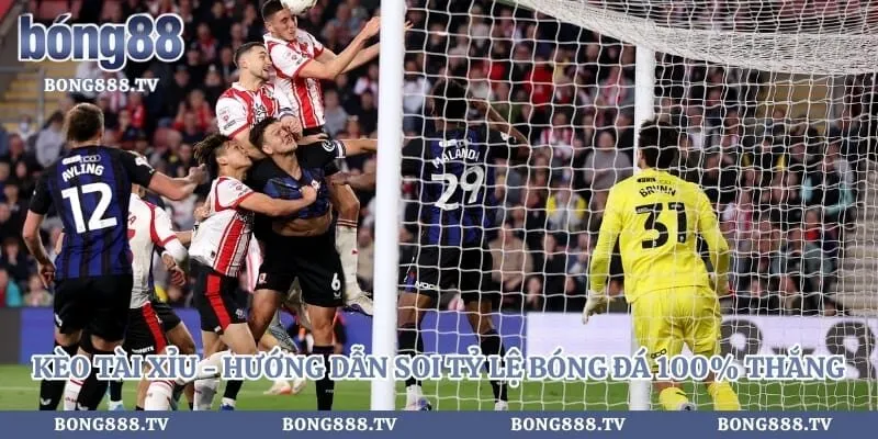 Kèo Tài Xỉu - Hướng Dẫn Soi Tỷ Lệ Bóng Đá 100% Thắng Hình số 3 tại bong888.tv Kèo Tài Xỉu - Hướng Dẫn Soi Tỷ Lệ Bóng Đá 100% Thắng