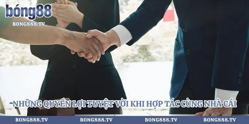 Đại Lý Bong88 - Cách Tạo Thu Nhập Bền Vững Dành Cho Bet Thủ Hình số 2 tại bong888.tv Những quyền lợi tuyệt vời khi hợp tác cùng nhà cái